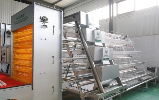 layer chicken poultry battery cage system