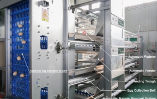 automatic battery cage system