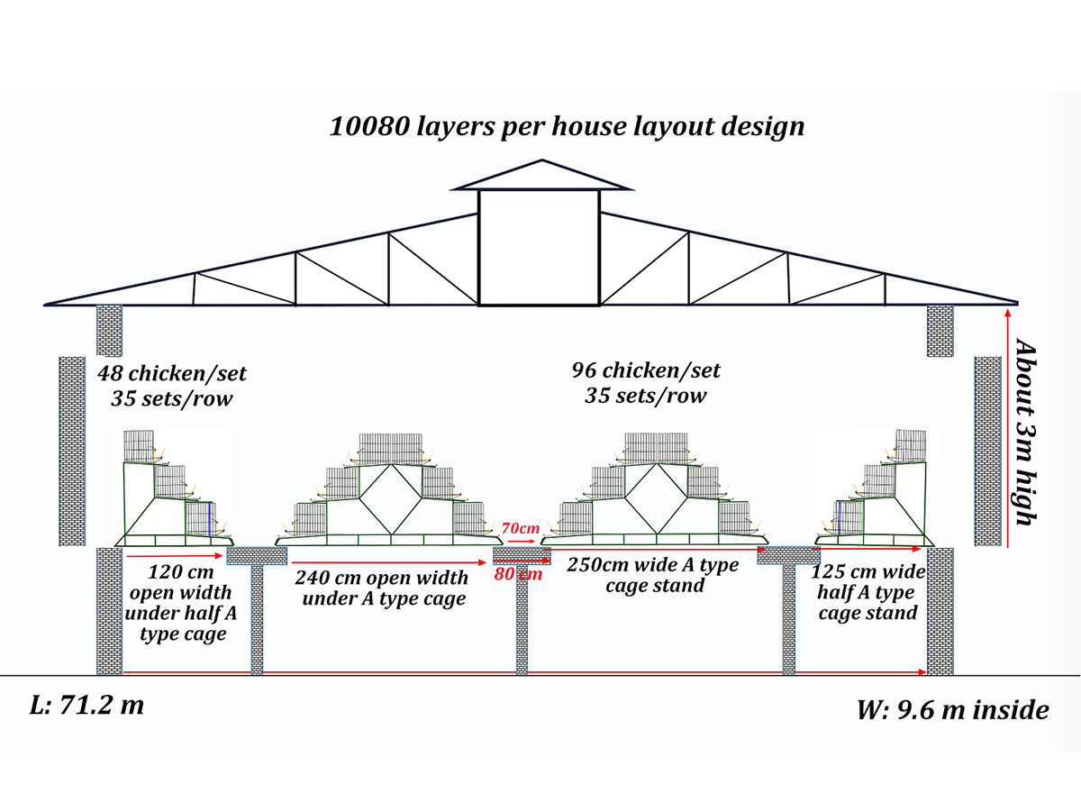 layer chicken cage in philippines chicken house layout design
