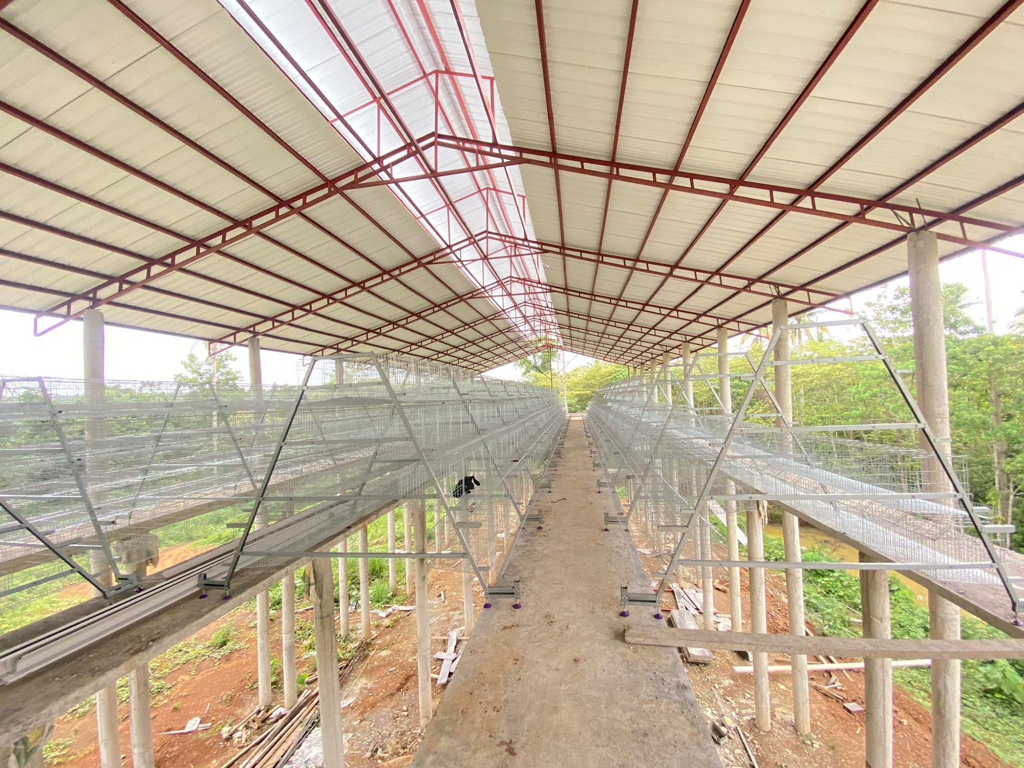 A type battery cage project in philippines chicken house