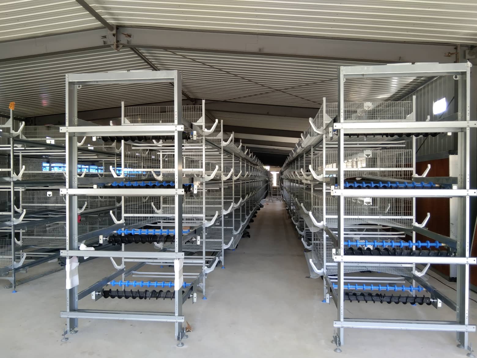 H Type Battery Cage Project in Masbate