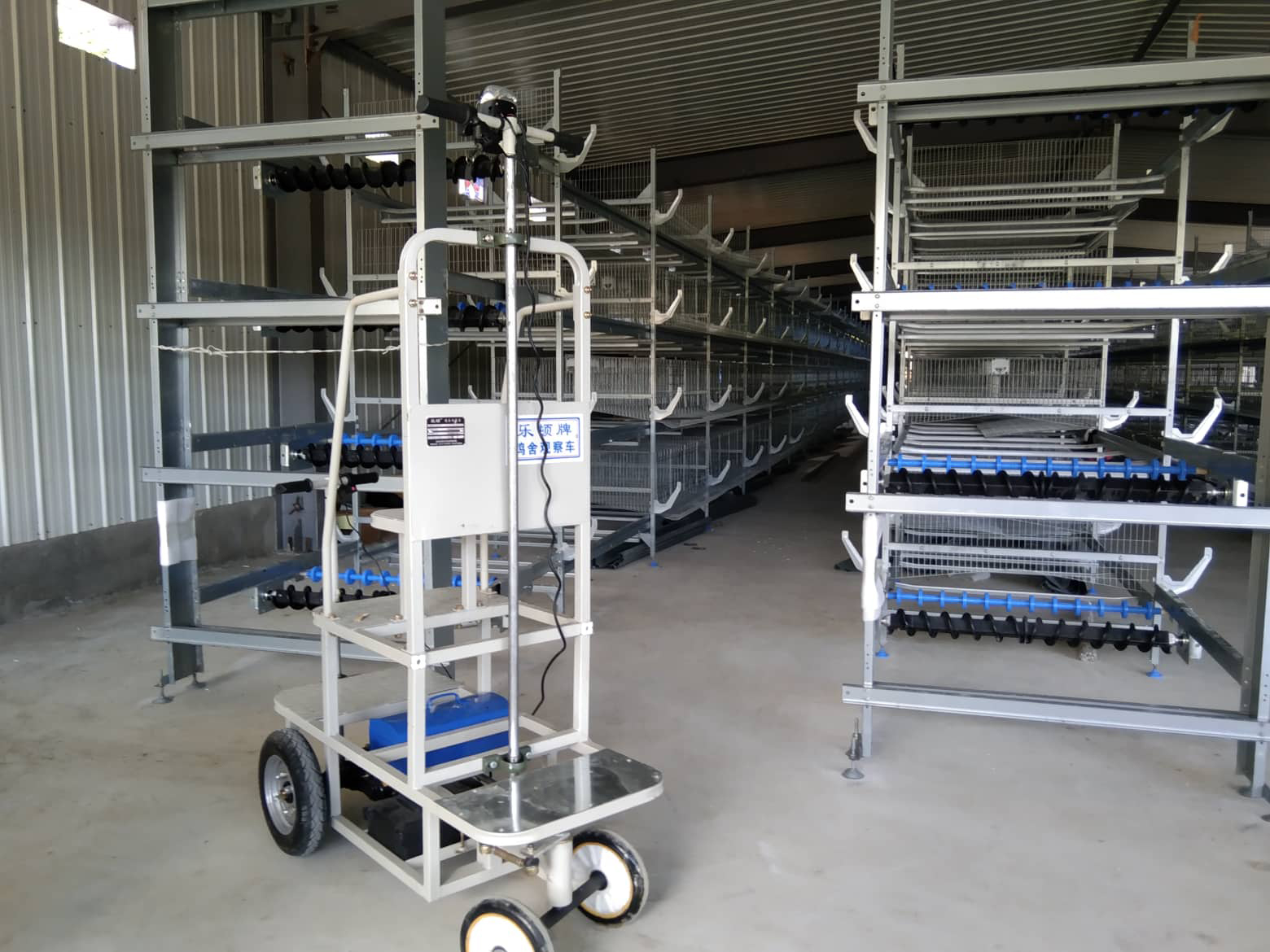 H type battery cage project in philippines