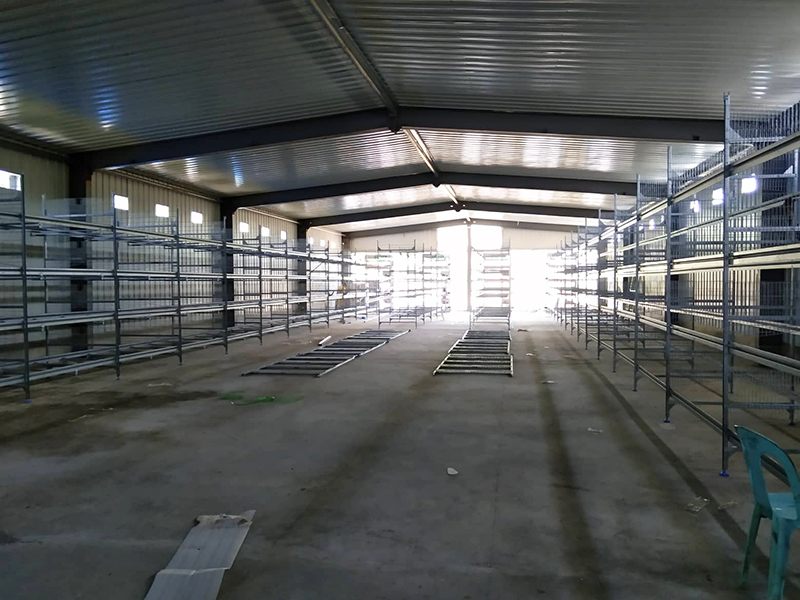 H type battery cage project in philippines overview