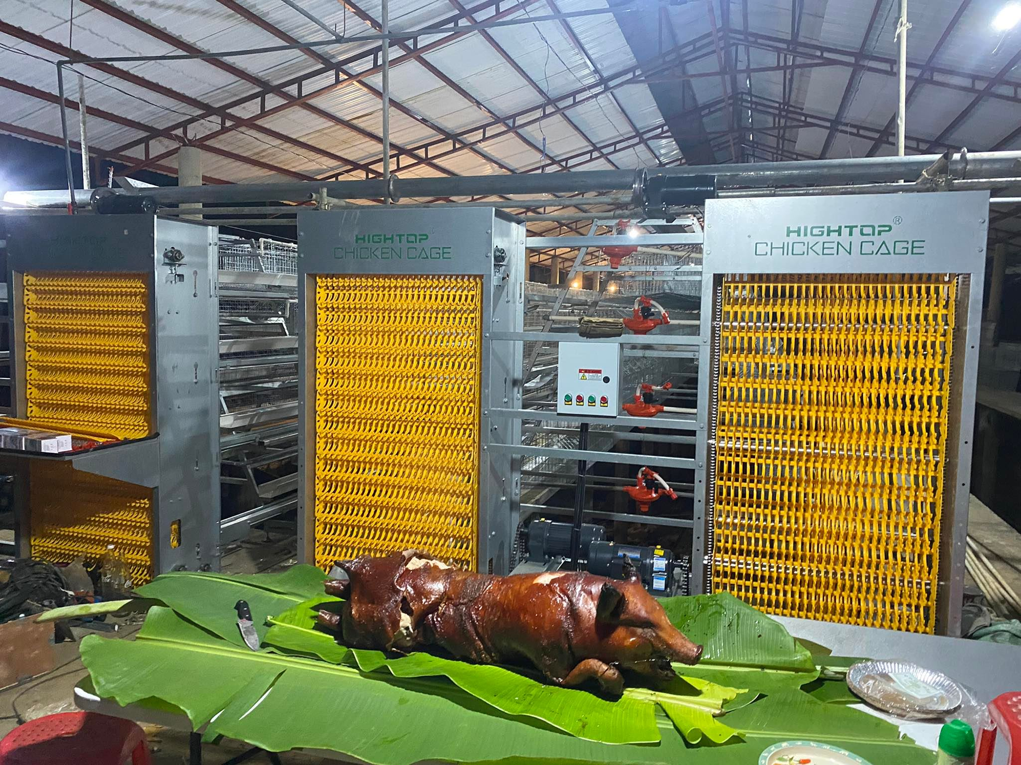 A type battery cage project in philippines
