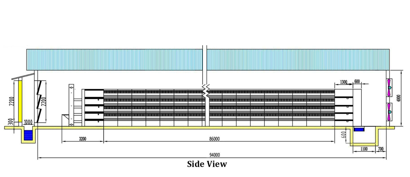 H-Type-Battery-Cage-4Tier-4 Rows Layout Design side View