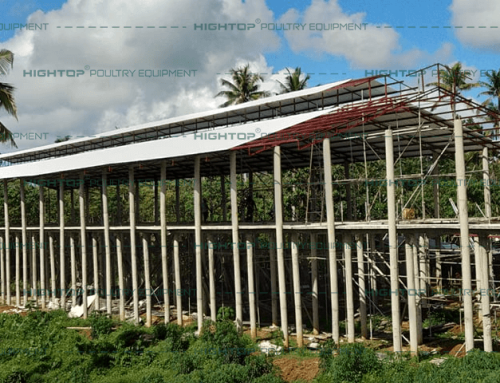 A Type automatic layer cage farm located in Cagayan De Oro 