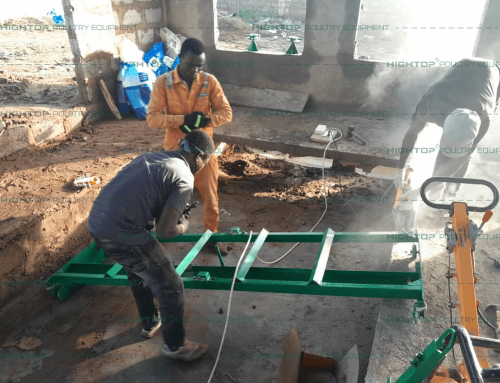 A type automatic layer cage house for 15,000 chickens in Ghana