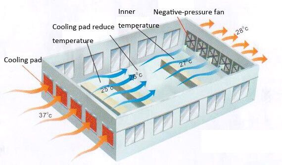 Cooling pad reduces temperature