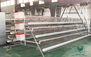 layer chicken battery cage system