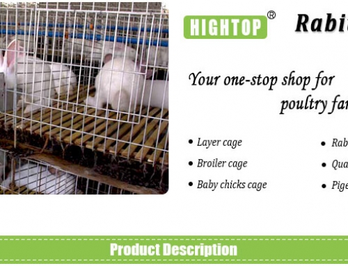 Commercial Rabbit Cages for Rabbit Farming