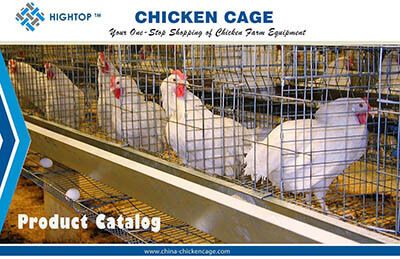 chicken cage catalogue