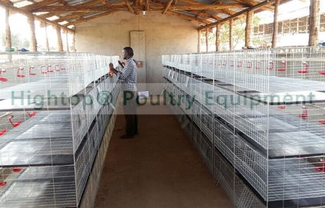 poultry cage material