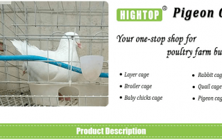 dove cage Pigeon Breeding Cages