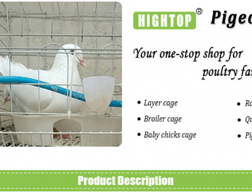 Dove and Pigeon Breeding Cages for Pigeon Farm Business