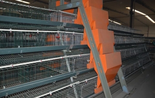 ladder automatic feeding machine type