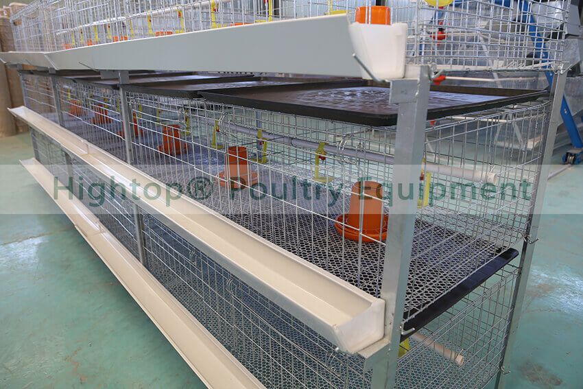 Normal H Type Broiler Cage
